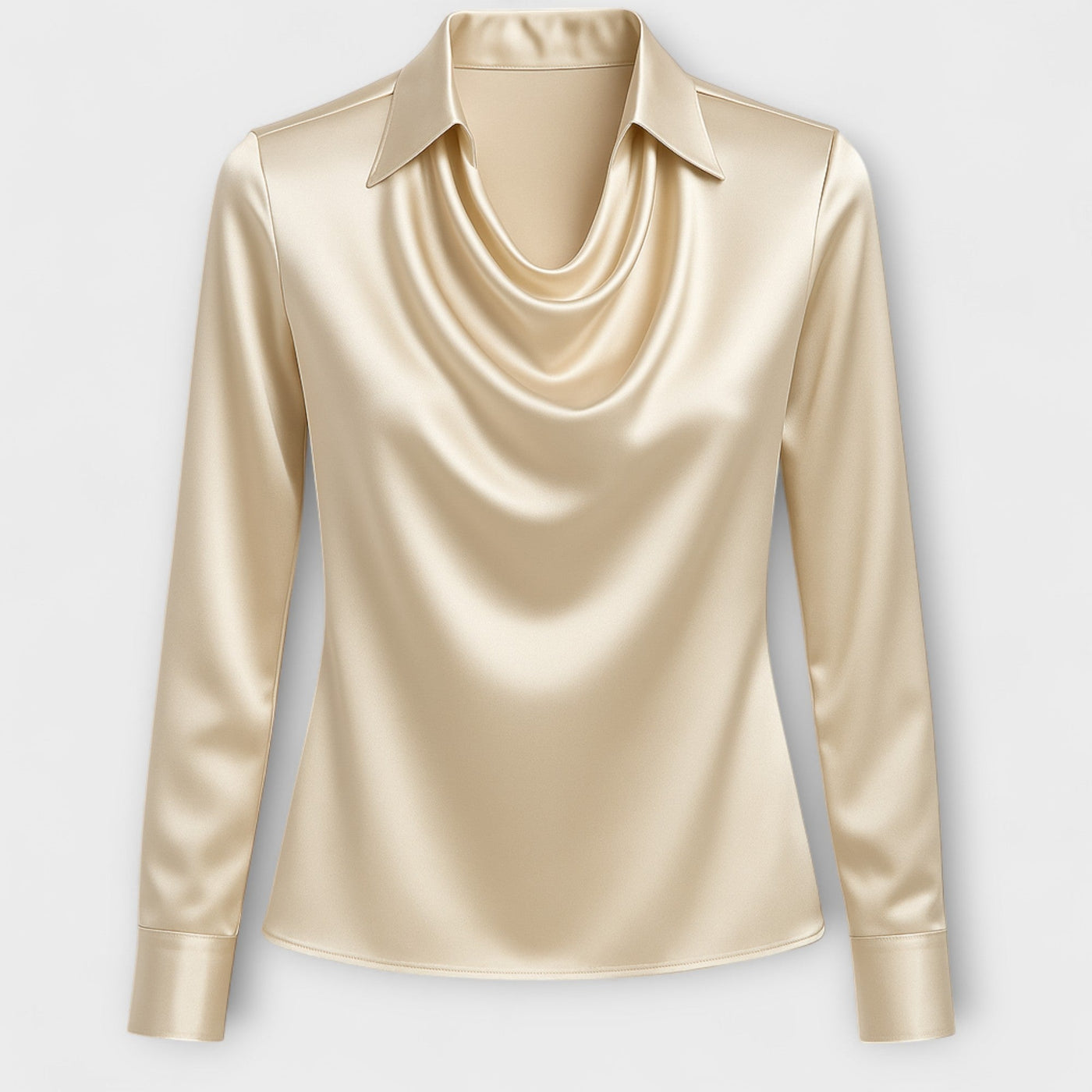 Shiny Blouse